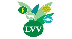 logo-lvv